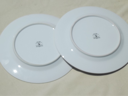 Fine China Japan for International Silver, 326 Springtime dinner plates