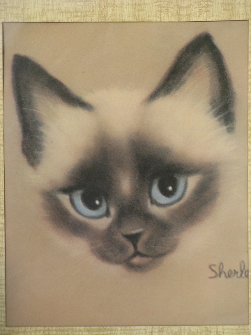 Retro 60s big-eyed fluffy kitty and siamese cat prints, pair mod frames
