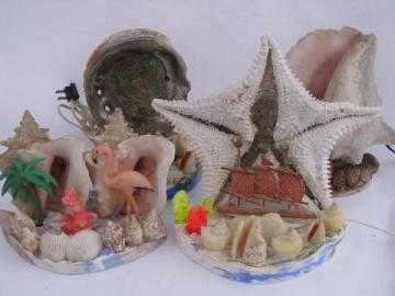 Retro tropical beach TV lamps, all seashells, conch shell abalone starfish lamp lot