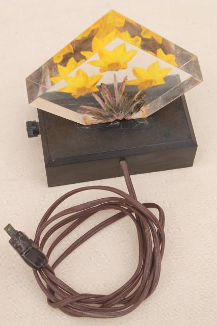 retro vintage mood light or novelty TV lamp w/ flowers encased in lucite