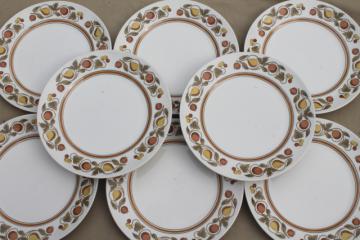 vintage Franciscan Pickwick rustic fruit whitestone stoneware china dinner plates
