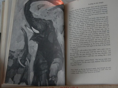 1960s vintage Rudyard Kipling's The Jungle Books w/color illustrations