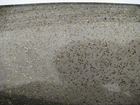 Black w/ gold glitter retro vintage plastic serving bowl, long mod shape