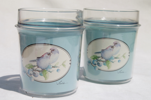 Love Birds Thermo-Serv insulated plastic glasses, lovebirds bluebird print tumblers