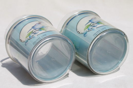 Love Birds Thermo-Serv insulated plastic glasses, lovebirds bluebird print tumblers