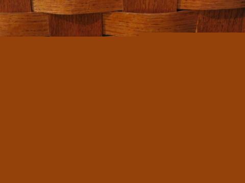 Retro vintage plastic picnic/barbeque ketchup and mustard set, hot dogs!