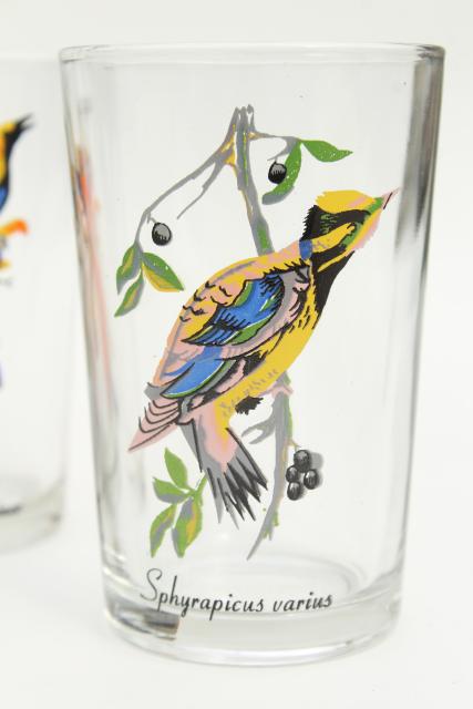 vintage KIG Malaysia drinking glasses, tumblers w/ exotic tropical birds