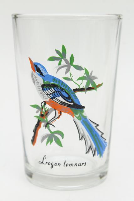 vintage KIG Malaysia drinking glasses, tumblers w/ exotic tropical birds