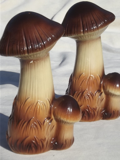 Vintage mushrooms salt & pepper shakers, magic forest woodland style