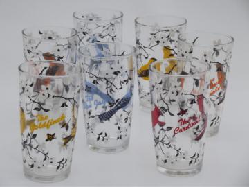 Vintage swanky swigs glasses w/ song birds, Oriole, Cardinal, Blue Jay, Goldfinch